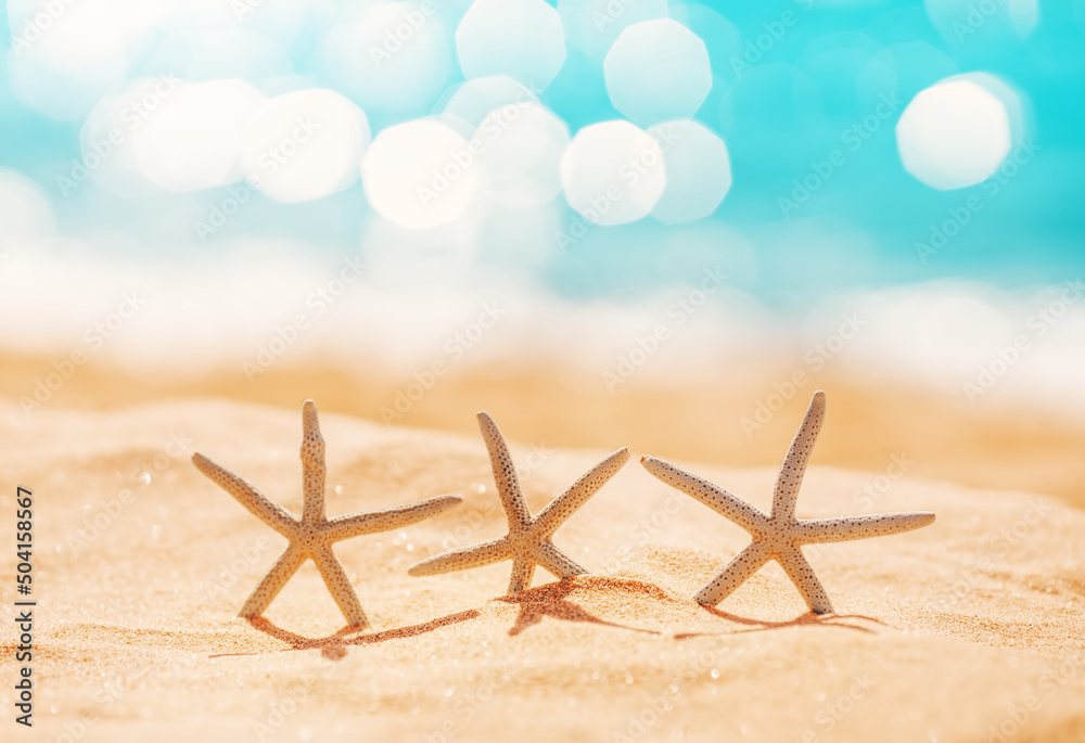 Starfishes on the beach sand in summer Starfishes on the beach sand in summer