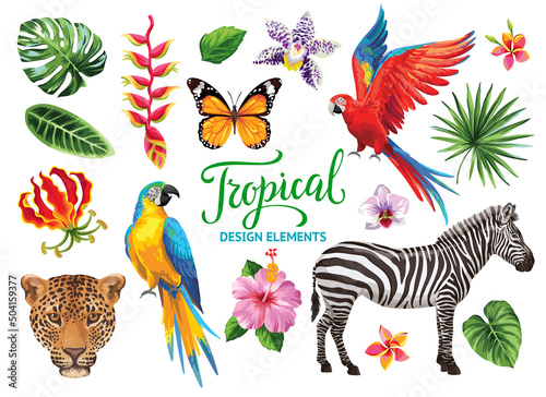 Tropical summer collection: exotic flowers, leaves, birds and animals. Vector isolated elements on the white background.