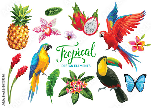 Tropical summer collection: exotic flowers, leaves and birds. Vector isolated elements on the white background.