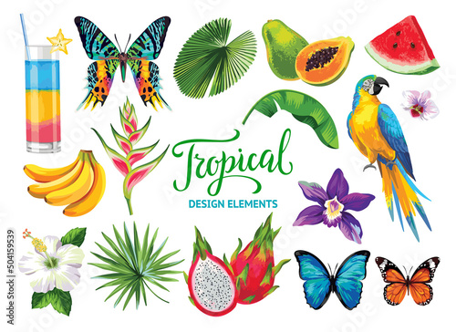 Tropical collection for summer beach party: exotic flowers, leaves, parrots, fruits and butterflies. Vector design isolated elements on the white background.