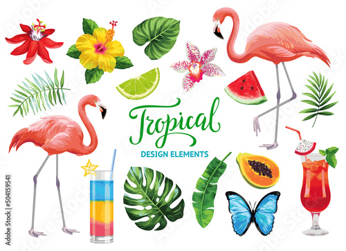 Tropical collection for summer beach party: exotic flowers, leaves, cocktails, flamingos, fruits and butterflies. Vector design isolated elements on the white background.