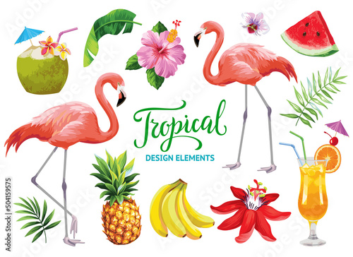 Tropical collection for summer beach party: exotic flowers, leaves, cocktails, flamingos and fruits. Vector design isolated elements on the white background.