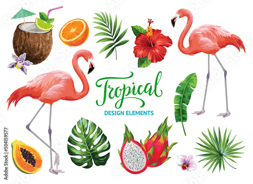 Tropical collection for summer beach party: exotic flowers, leaves, cocktails, flamingos and fruits. Vector design isolated elements on the white background.