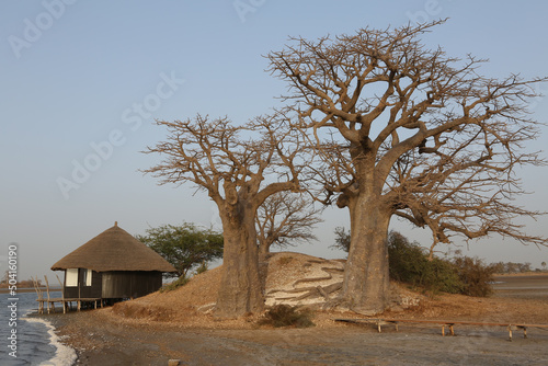 Architecture in Palmarin, Senegal, Africa. Lodge Les Collines De Niassam. Wooden house in Lodge Les Collines De Niassam. African architecture, house. Senegal nature, landscape, scenery. Coast photo