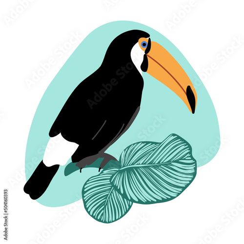 Summer card with toucan and calathea leaves on abstract spot background, tropical exotic bird with big beak and green jungle leaves vector illustration