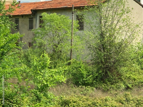 Abandoned house in greens