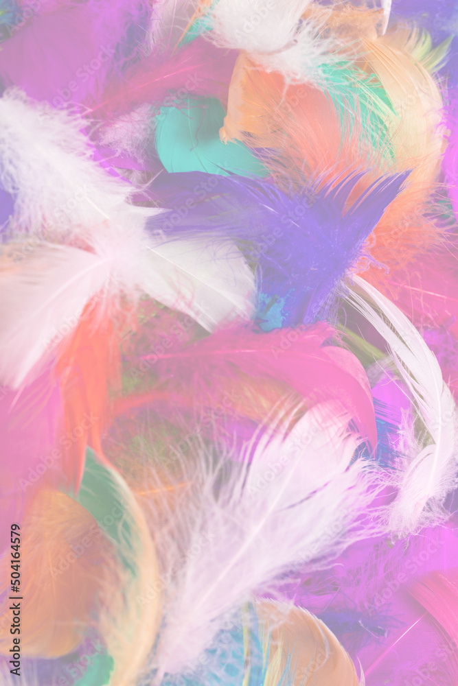 Colorful feather background. Colorful feather background.