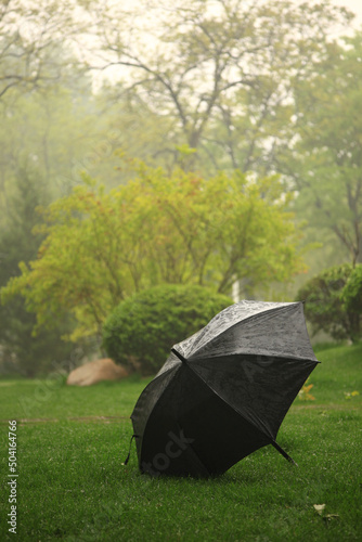 An umbrella on grass after rain
