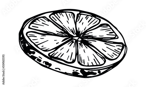 Vector lemon clipart. Hand drawn citrus icon. Fruit illustration. For print, web, design, decor, logo.