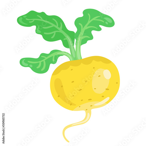 Yellow turnip. In cartoon style. Isolated on white background. Vector flat illustration