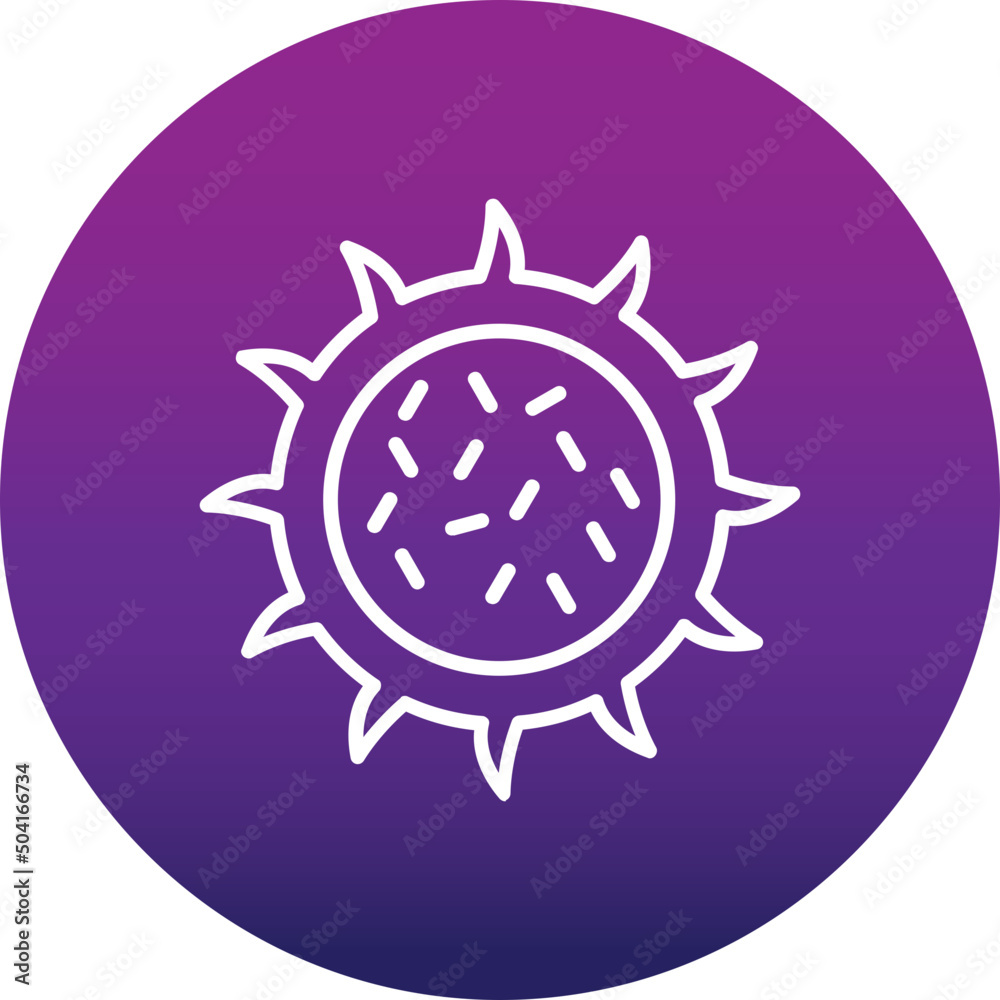 Dragon Fruit Icon Dragon Fruit Icon