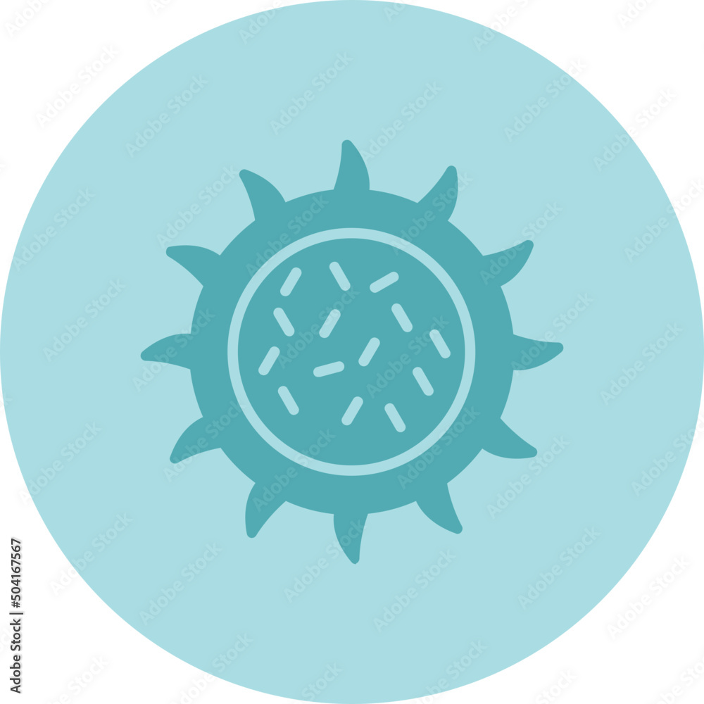 Dragon Fruit Icon Dragon Fruit Icon