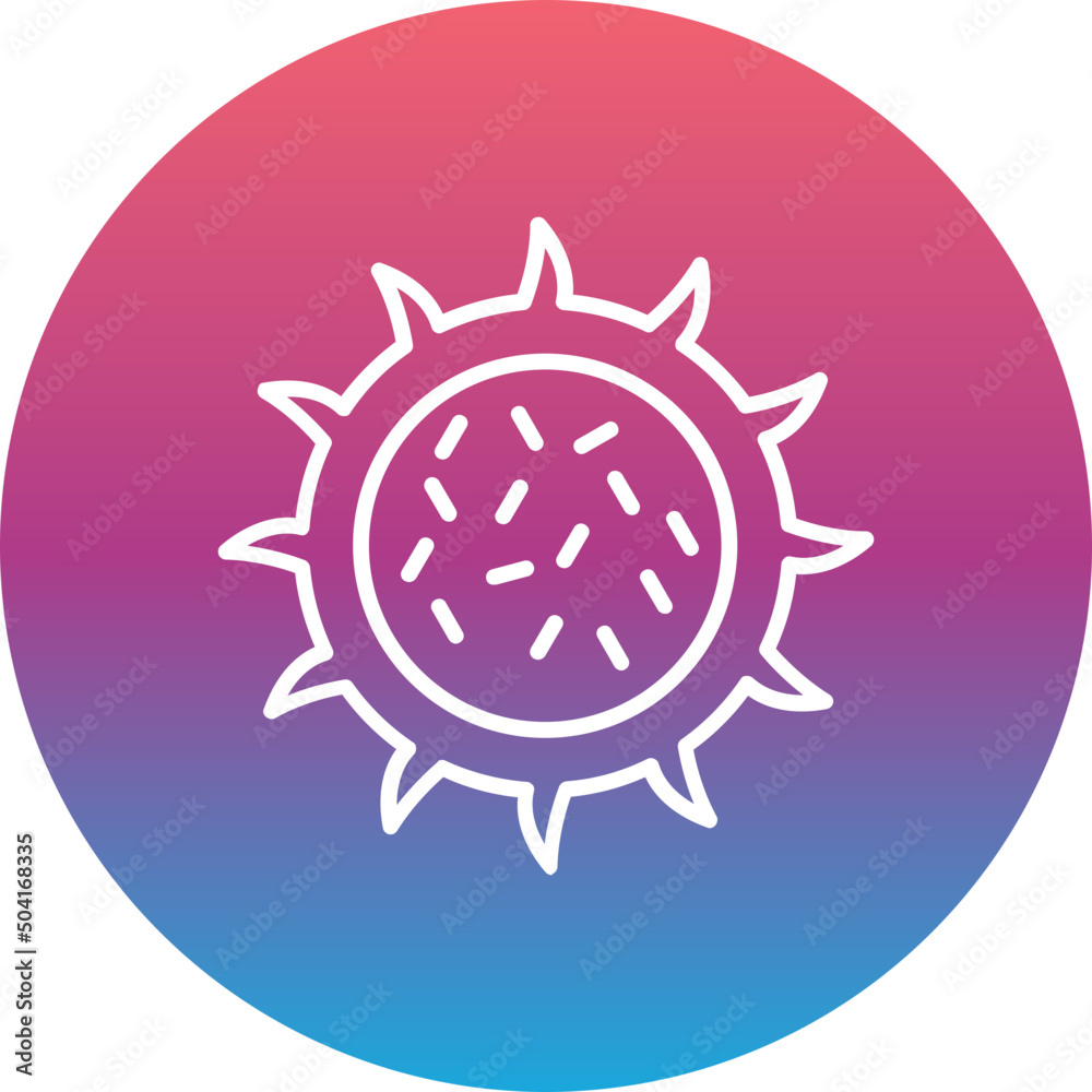 Dragon Fruit Icon Dragon Fruit Icon