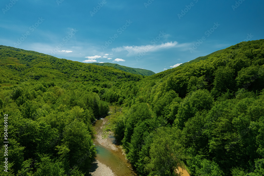 Flying over a clear river, green forest trees and mountains in spring on a sunny day. Russia, Krasnodar Territory, Caucasus, South.