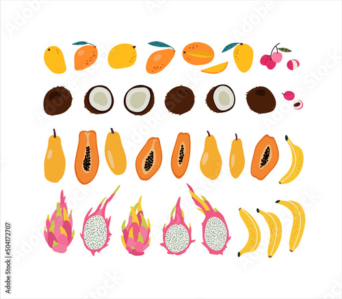 Hand-drawn set of tropical fruits. Mango, lychee, coconut, papaya, bananas, dragon fruit. Collection of healthy food, asian fruits. Colored flat vector illustration. 
