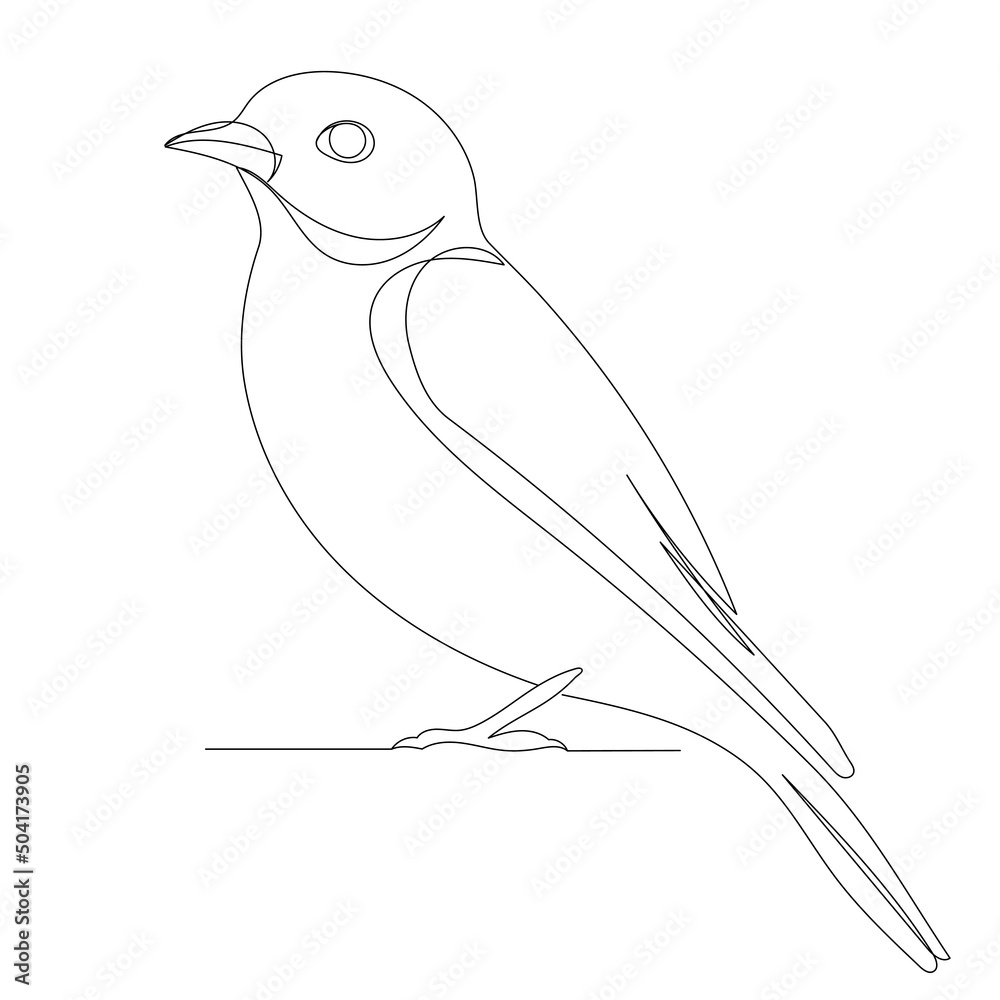 bird drawing in one continuous line bird drawing in one continuous line