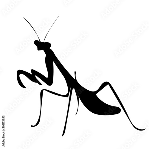 praying mantis silhouette, on white background, isolated, vector