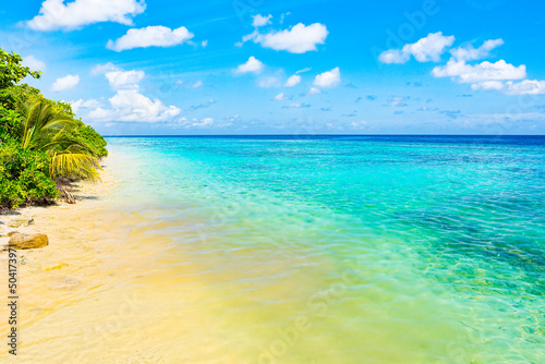 Fototapeta Naklejka Na Ścianę i Meble -  Shoreline of a tropical island in the Maldives and view of the Indian Ocean.