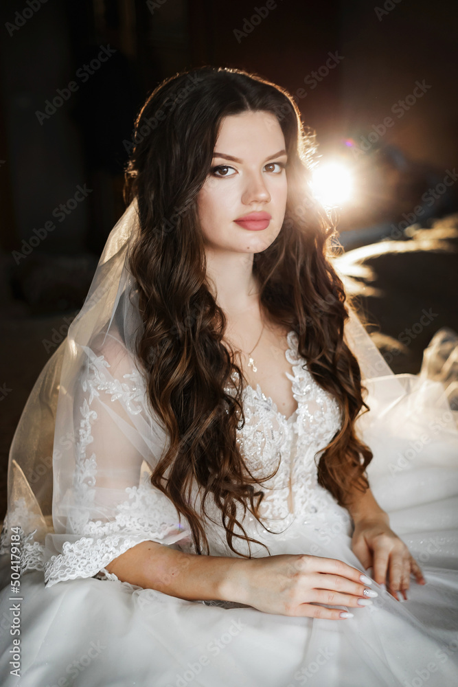 Charming happy bride with long veil. Backlight in a dark room Charming happy bride with long veil. Backlight in a dark room