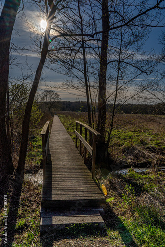 Park Narodowy , Ujście Warty, Lubuskie, Gorzów Polska , Łąki , Warta, rzeka, ścieżka dydaktyczna