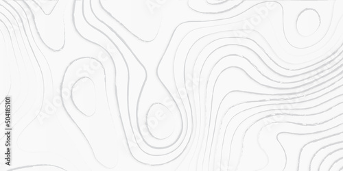 Luxury white abstract line art, topographic background and texture, monochrome image. 3D waves, cartography Background, white wave paper curved reliefs abstract background.