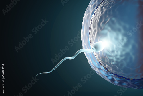Sperm swimming towards the egg with light effect in a dark background. 3D Illustration Rendering.