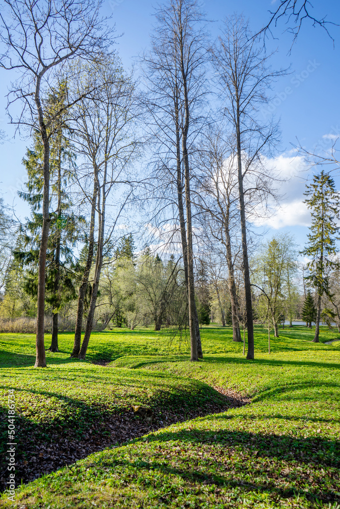 Beautiful natural landscape on a spring morning. Beautiful natural landscape on a spring morning.