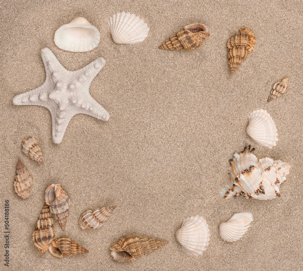Close up of seashells on the sand. Close up of seashells on the sand.