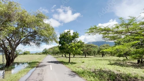 Savannah Road with Green Trees and Small Puddle on Sunny Day
