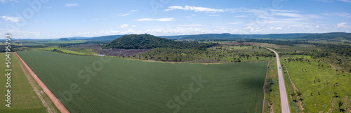 Drone aerial view of BR-163 road and huge soybean plantation area. Deforestation in the Amazon Rainforest, Mato Grosso, Brazil. Concept of agriculture, environment, ecology, climate change.	 photo