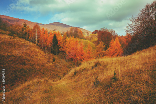 Mountain landscape in autumn morning
