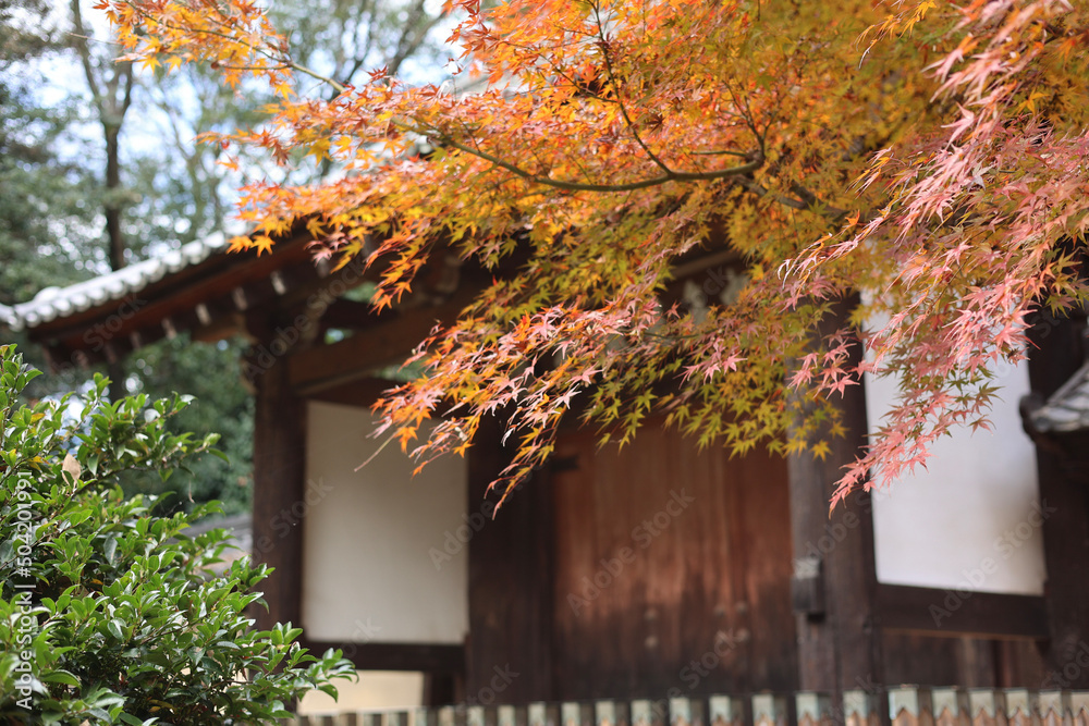 old house in autumn