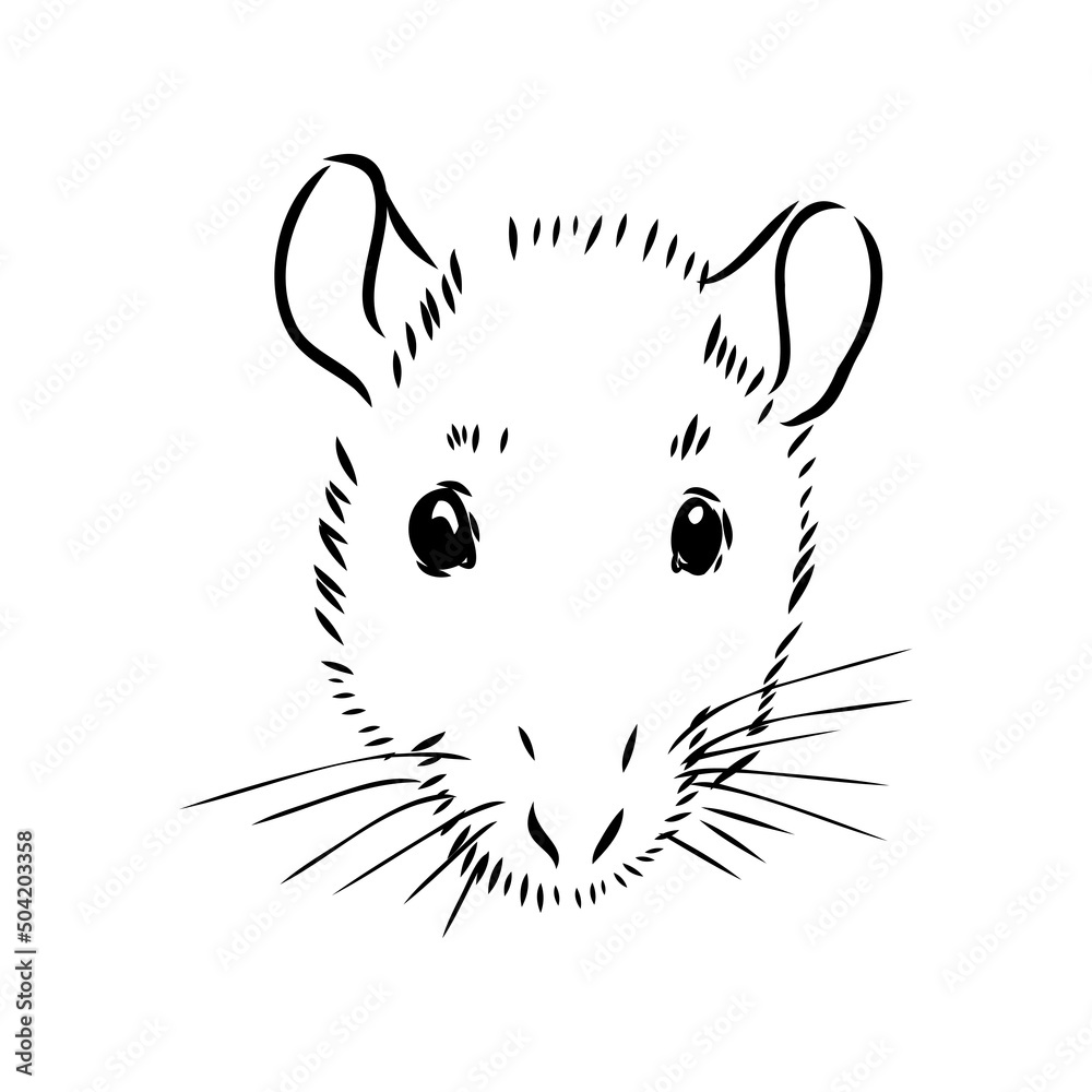 Rat sketch drawn by hand. Black and white vector illustration. Rat sketch drawn by hand. Black and white vector illustration.
