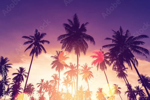 Fototapeta Naklejka Na Ścianę i Meble -  Copy space of silhouette tropical palm tree on sunset sky with bokeh light leak abstract background. Summer vacation and nature travel adventure concept.