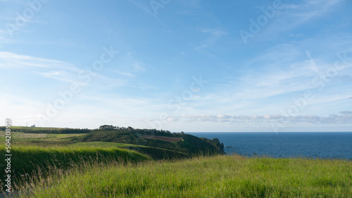 Ladera de hierba verde junto al horizonte marino