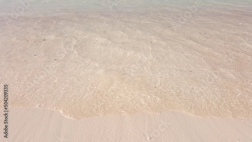 Beach with Waves and Sea Shells