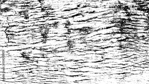 Black white texture of rugged relief fractured bark wood of aged cork oak. Old rough grunge of uneven ridged hard dry crust surface. Deep cut grooved coated layer, convex ornate textured rustic design