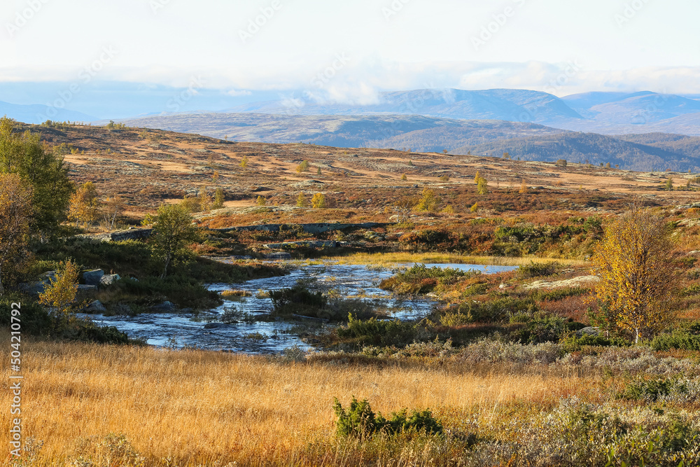 Forollhogna national park, Norway