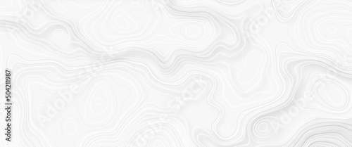 White wave paper curved reliefs abstract background, Abstract topographic contours map, Topographic background and texture, monochrome. White wave paper curved reliefs abstract background.