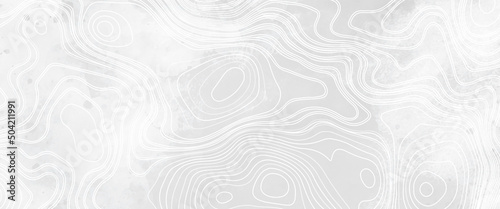 White wave paper curved reliefs abstract background, Abstract topographic contours map, Topographic background and texture, monochrome. White wave paper curved reliefs abstract background.