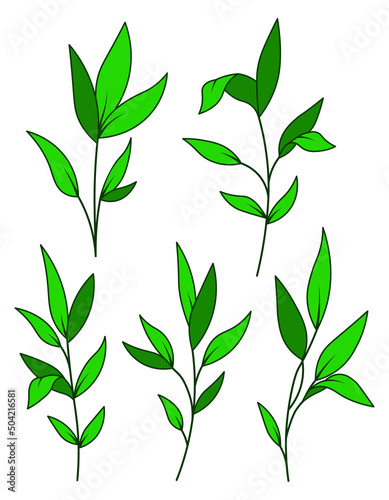 Leaf of plant leaves set cartoon isolated illustrations