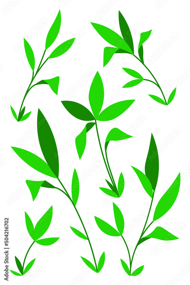 Naklejka premium Leaf of plant leaves set cartoon isolated illustrations
