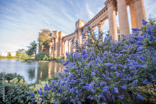 Panorama Blick mit Blumen auf Palace of Fine Arts in San Francisco