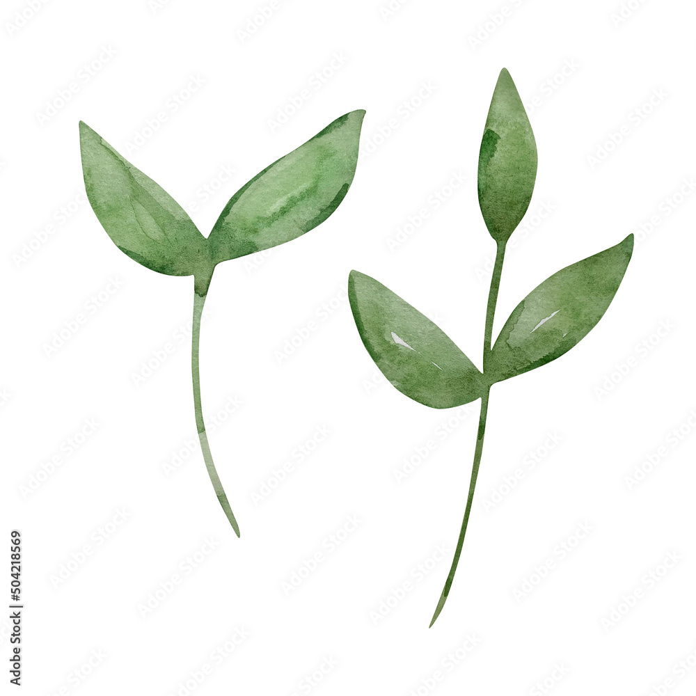 Fototapeta premium Watercolor set of green branches