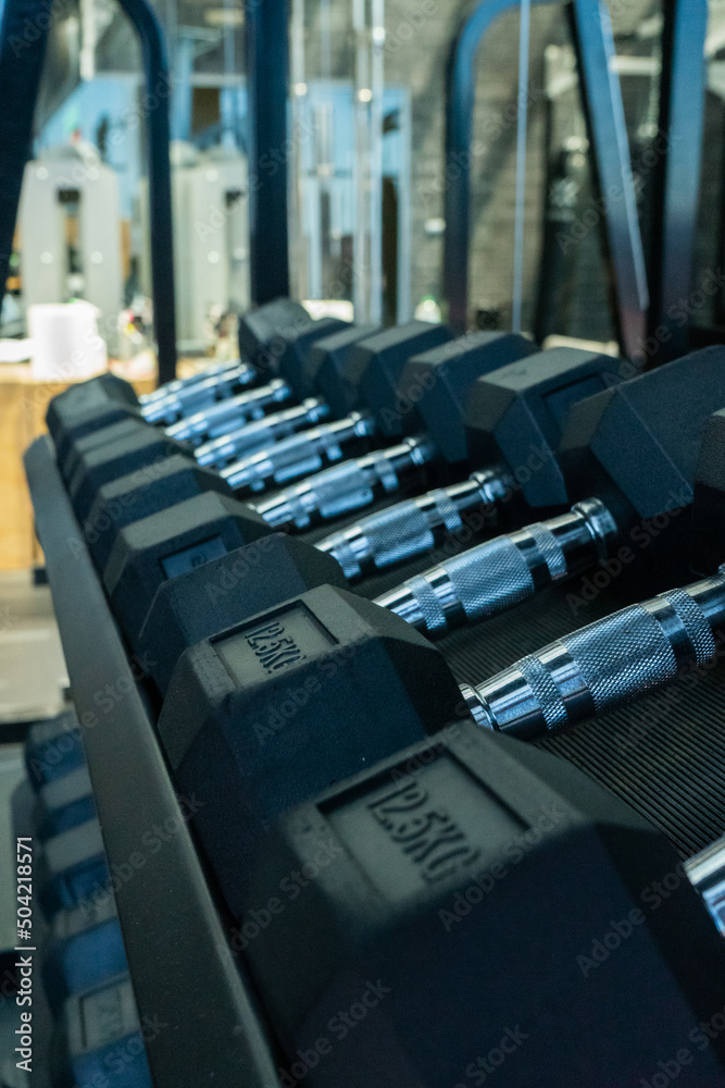 Obraz premium Dumbbell group. Gym. Fitness training equipment