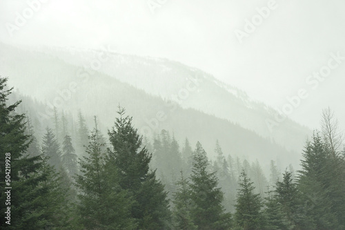 Stormy snow over layered mountain forest © LaurieSH