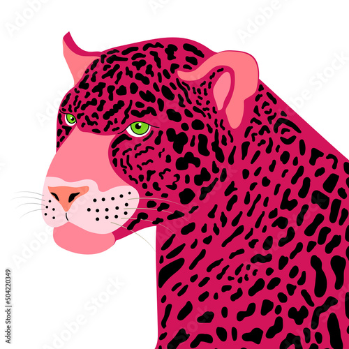 vector illustration of pink jaguar with black spots on a white background