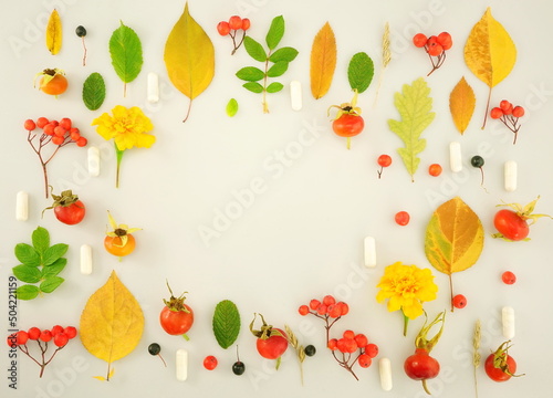 Frame of colorful bright yellow leaves, red rowan berries, rose hips and biological supplements capsules Isolated on a white background. Autumn concept. Top view, copy space, flat lay.