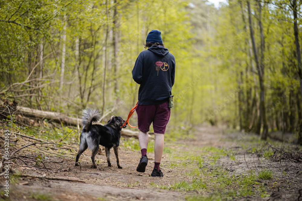Obraz na płótnie Mężczyzna spacerujący ze swoim psem w wiosennym lesie w salonie