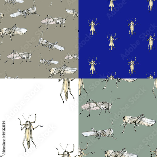 Watercolor illustration seamless pattern set of grasshoppers (locusts), a muted color sketch. Elegant insects drawn by hand with ink on white, blue, green.